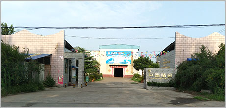 強大(da)的(de)非(fei)标件來樣定製(zhi)能(néng)力(li)